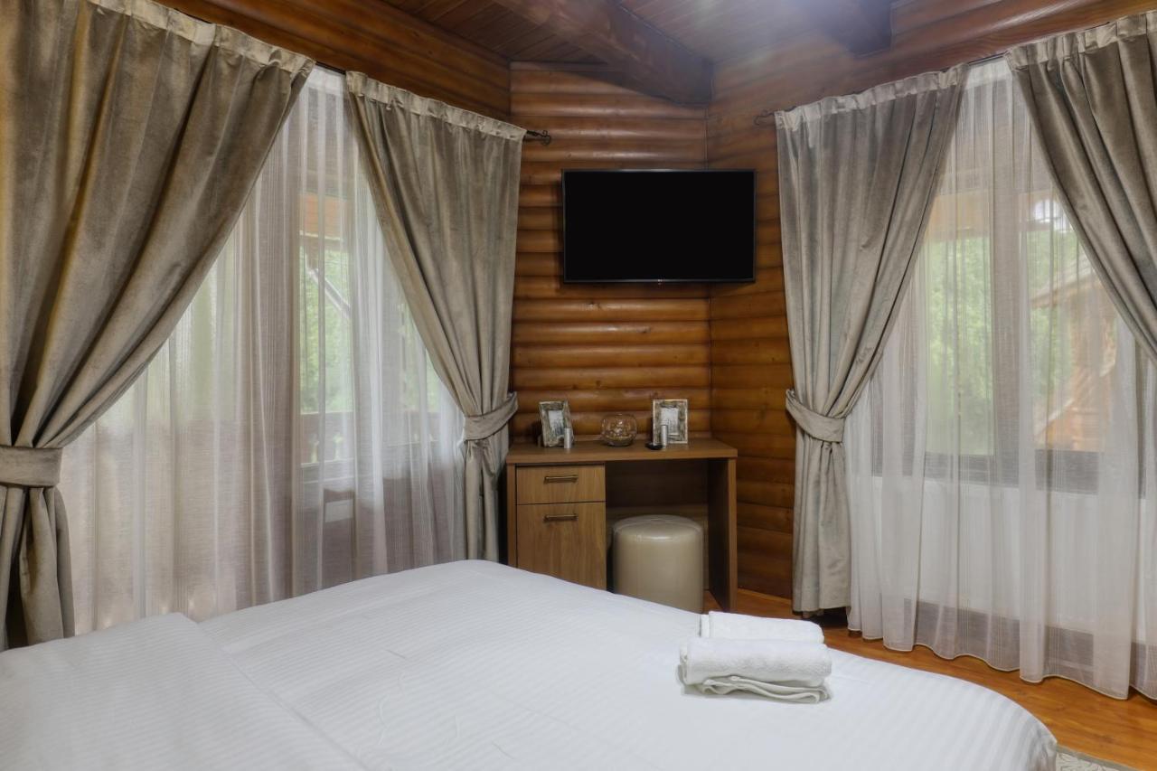Hotel Ivascu モイセイ エクステリア 写真