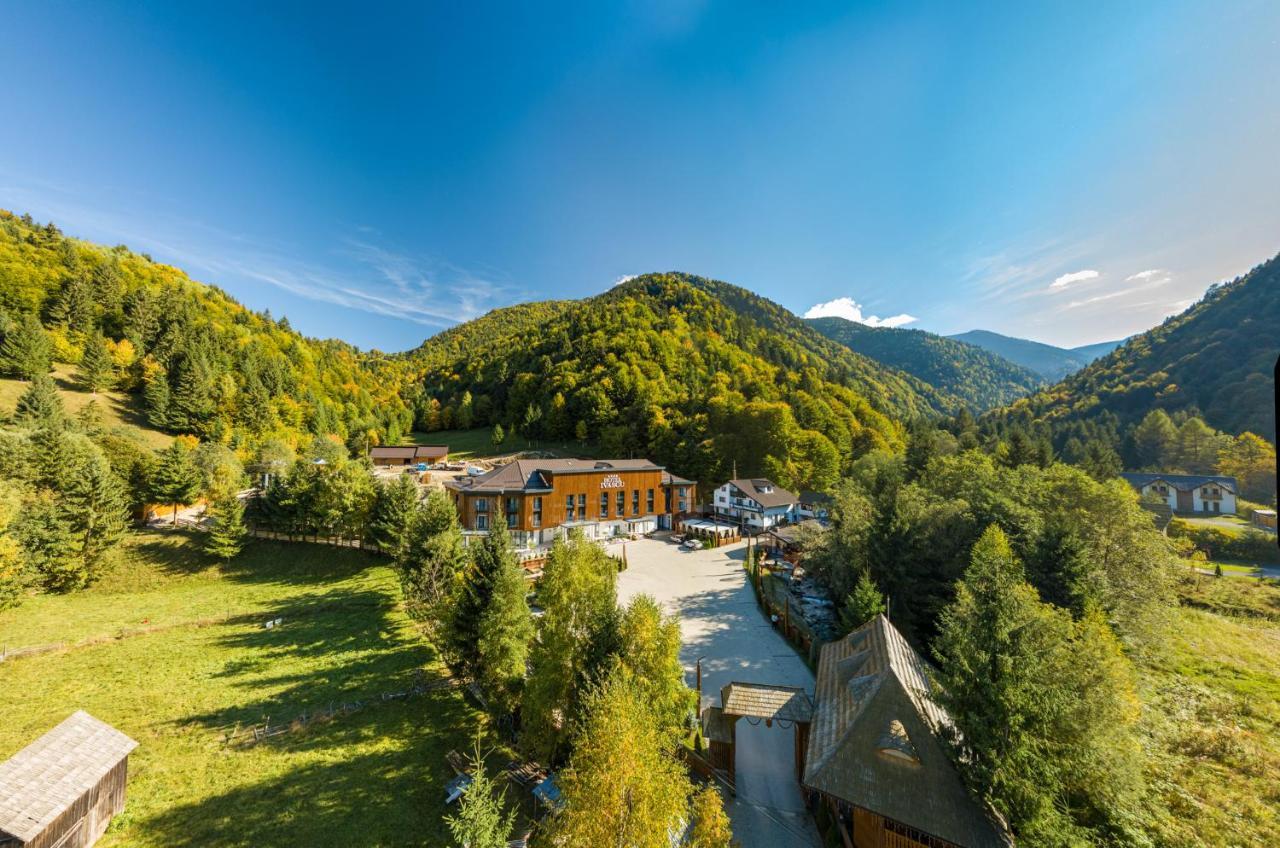 Hotel Ivascu モイセイ エクステリア 写真