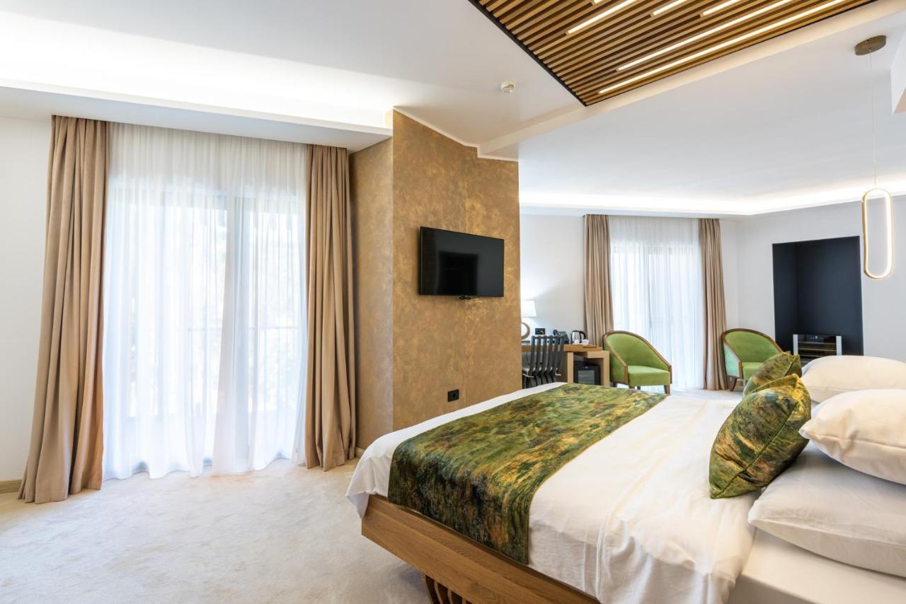 Hotel Ivascu モイセイ エクステリア 写真