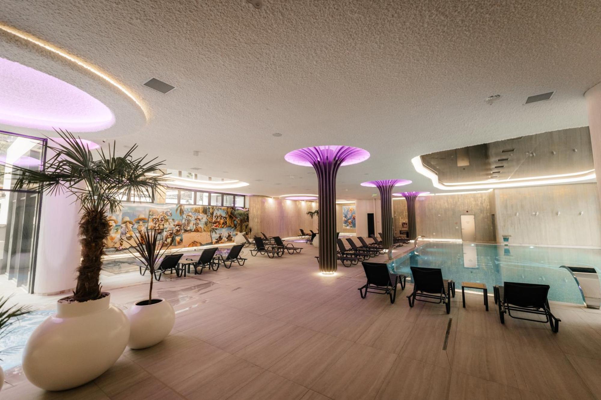 Hotel Ivascu モイセイ エクステリア 写真